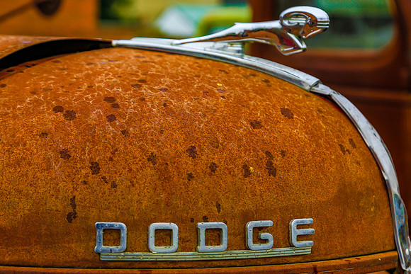 Dodge