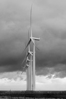 Wind Mills in B&W