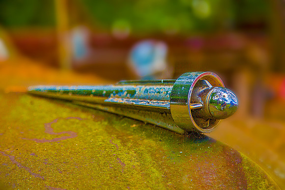 Hood Ornament