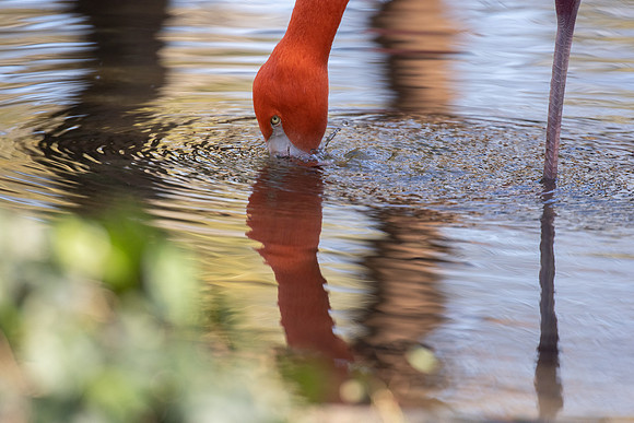 RiverBank02082021-22