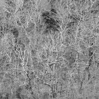 GSMNP (18 of 12)