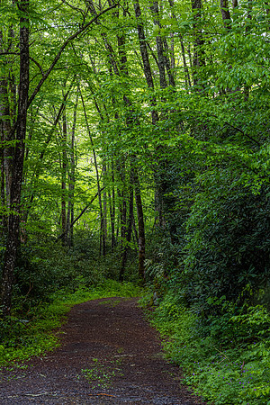 GSMNP (22 of 12)