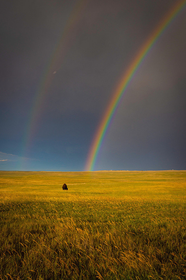 BADLANDS NP