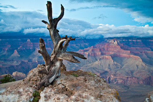 Grand Canyon