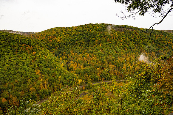 Fall in PA-5
