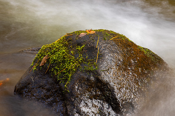GSMNP-3