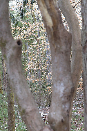 20230115_GSMNP-2304
