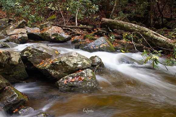 GSMNP-28