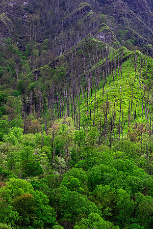GSMNP (16 of 12)