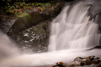 GSMNP-32