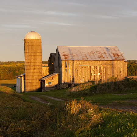 BARNS-4