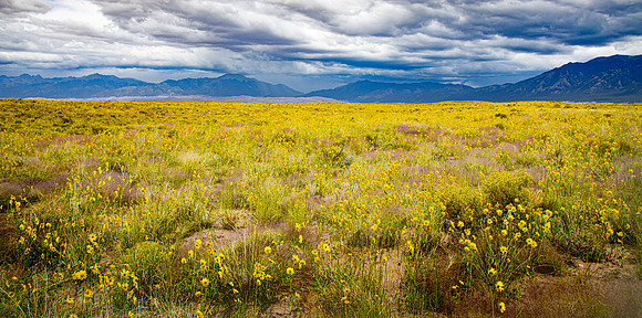 GREAT SAND DUNES-1