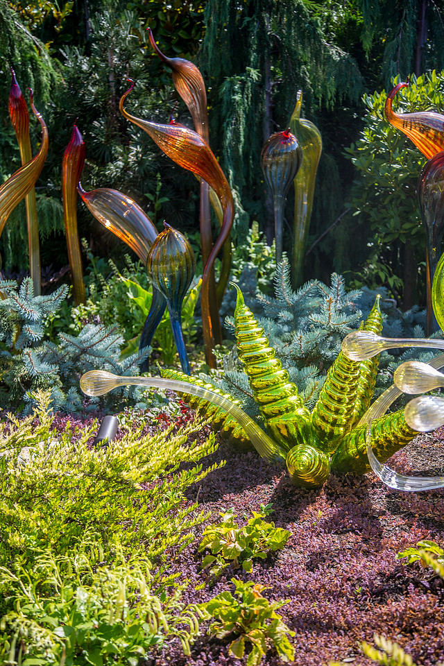 GLASS BLOWING AND CHIHULY ART-39