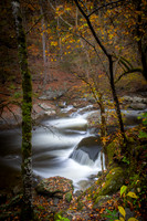 GSMNP-20