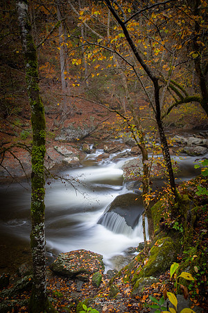 GSMNP-20