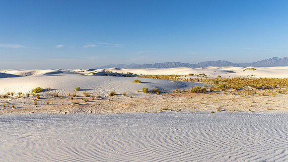 WHITE SANDS NP-1