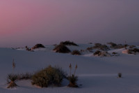WHITE SANDS NP-10