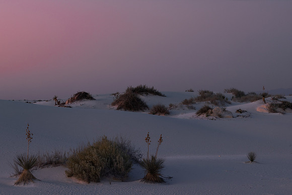 WHITE SANDS NP-10