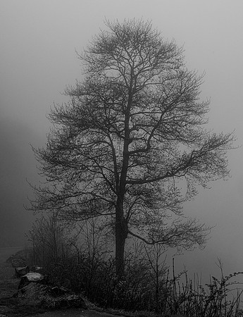 GSMNP (13 of 12)