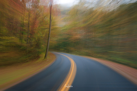 GSMNP-17