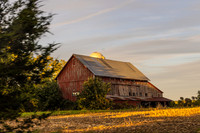 BARNS-2