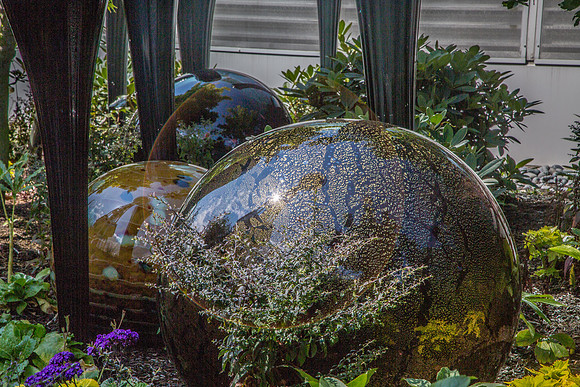 GLASS BLOWING AND CHIHULY ART-42
