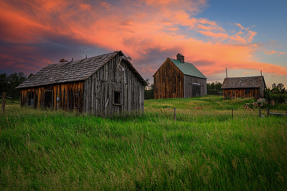 Setting Sun on the Farm