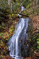 GSMNP-36