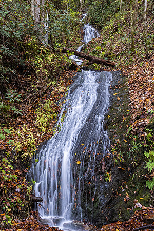 GSMNP-36