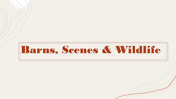 Slide4