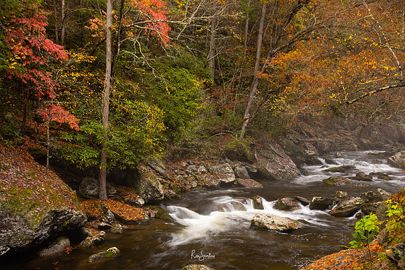 GSMNP-18