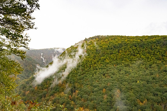 Fall in PA-4