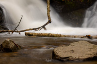 GSMNP-33
