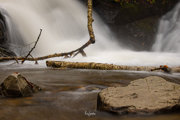 GSMNP-33