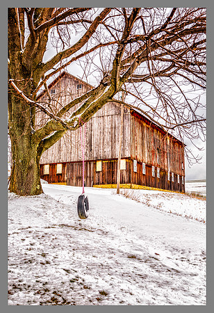 BARNS-8