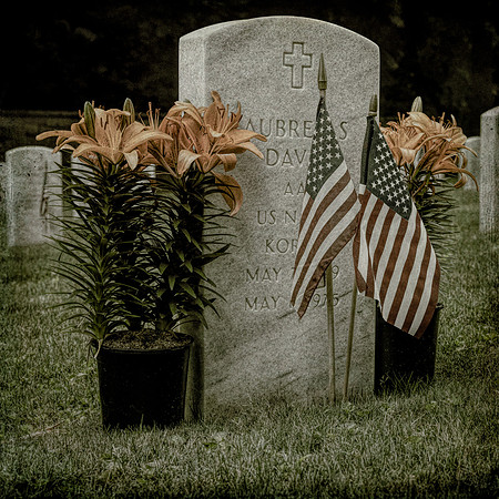 Remembering the Fallen