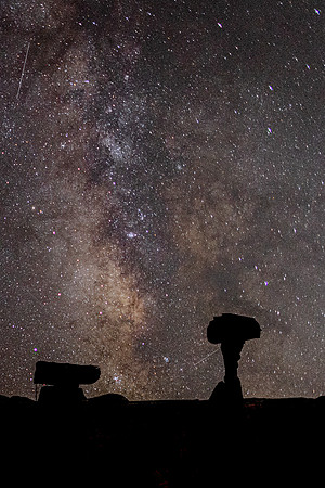 TOADSTOOLS_MILKY WAY