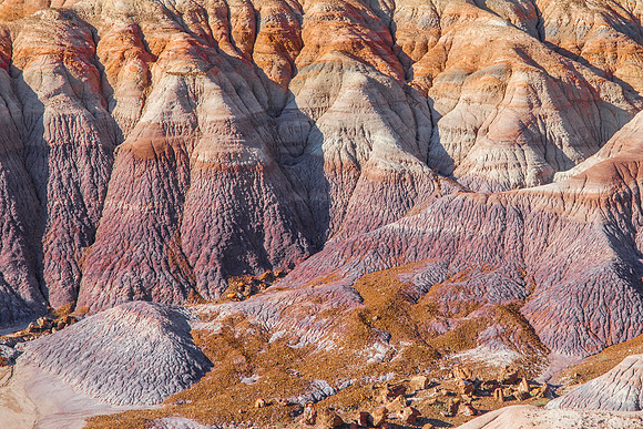 Contrast in Color