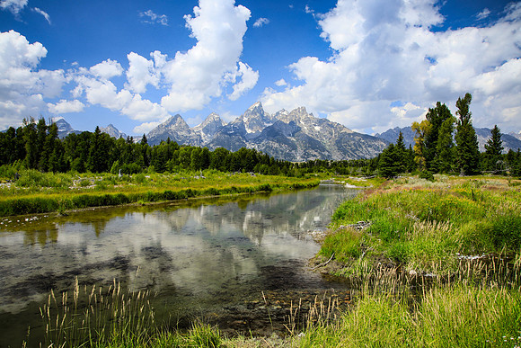 LANDSCAPES-56
