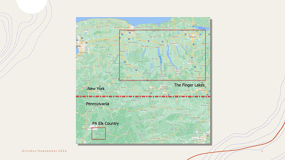 Slide3