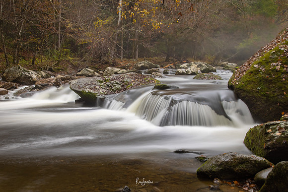 GSMNP-21