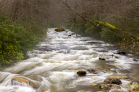 GSMNP-24