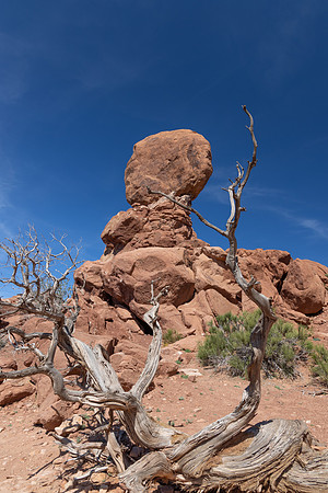 ARCHES NP-27