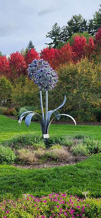 CORNELL BOTANICAL GARDEN-1