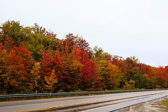 Fall in PA-6