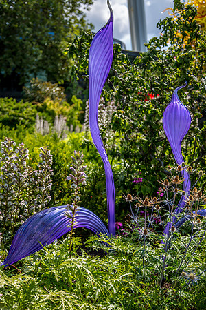 GLASS BLOWING AND CHIHULY ART-37