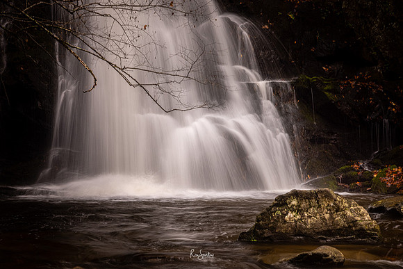 GSMNP-30
