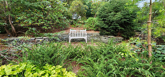 CORNELL BOTANICAL GARDEN-4