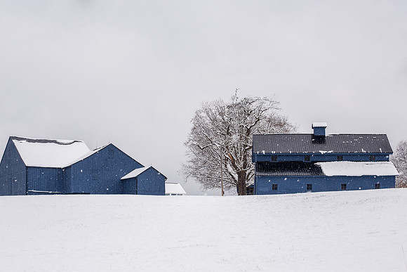 Blue Barn
