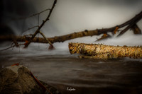 GSMNP-34